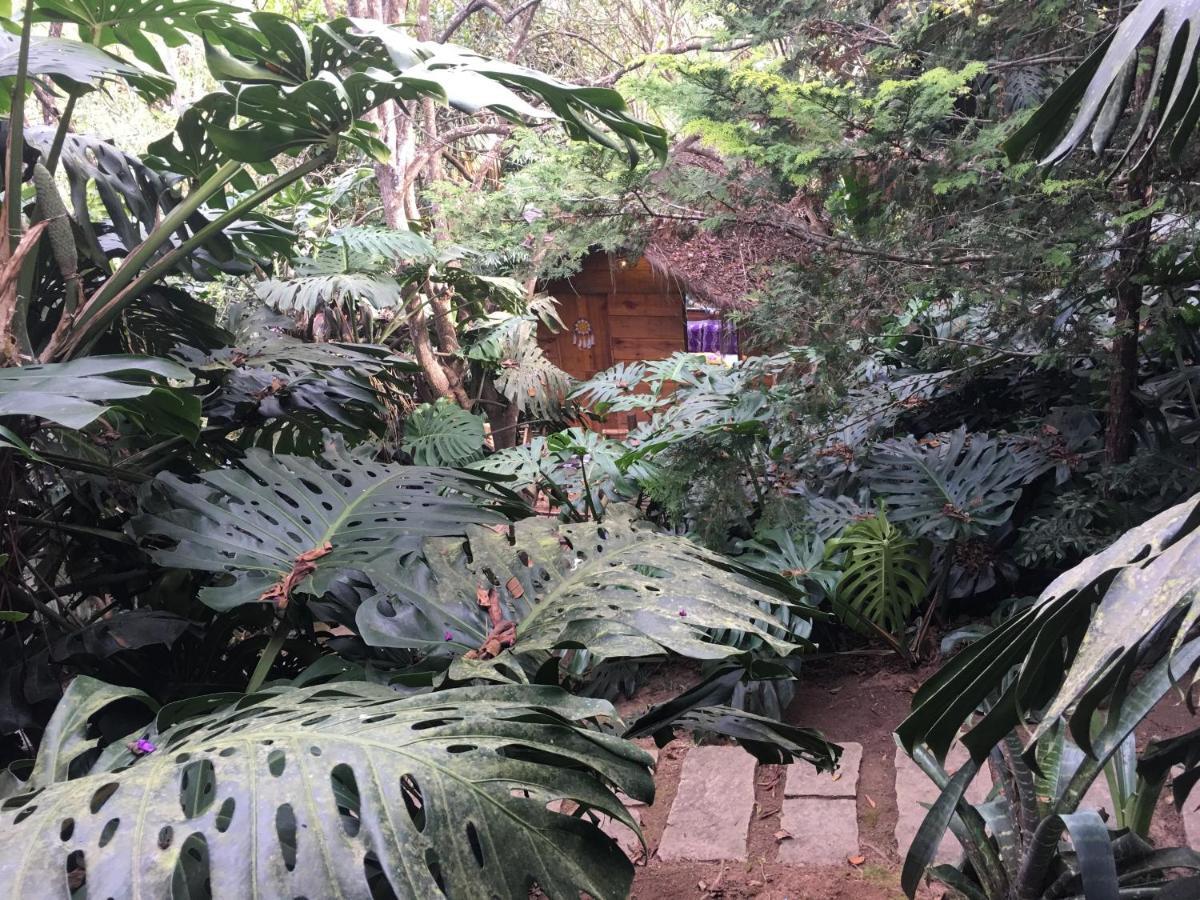 Casa Ranxoxita Pensión Itaipava