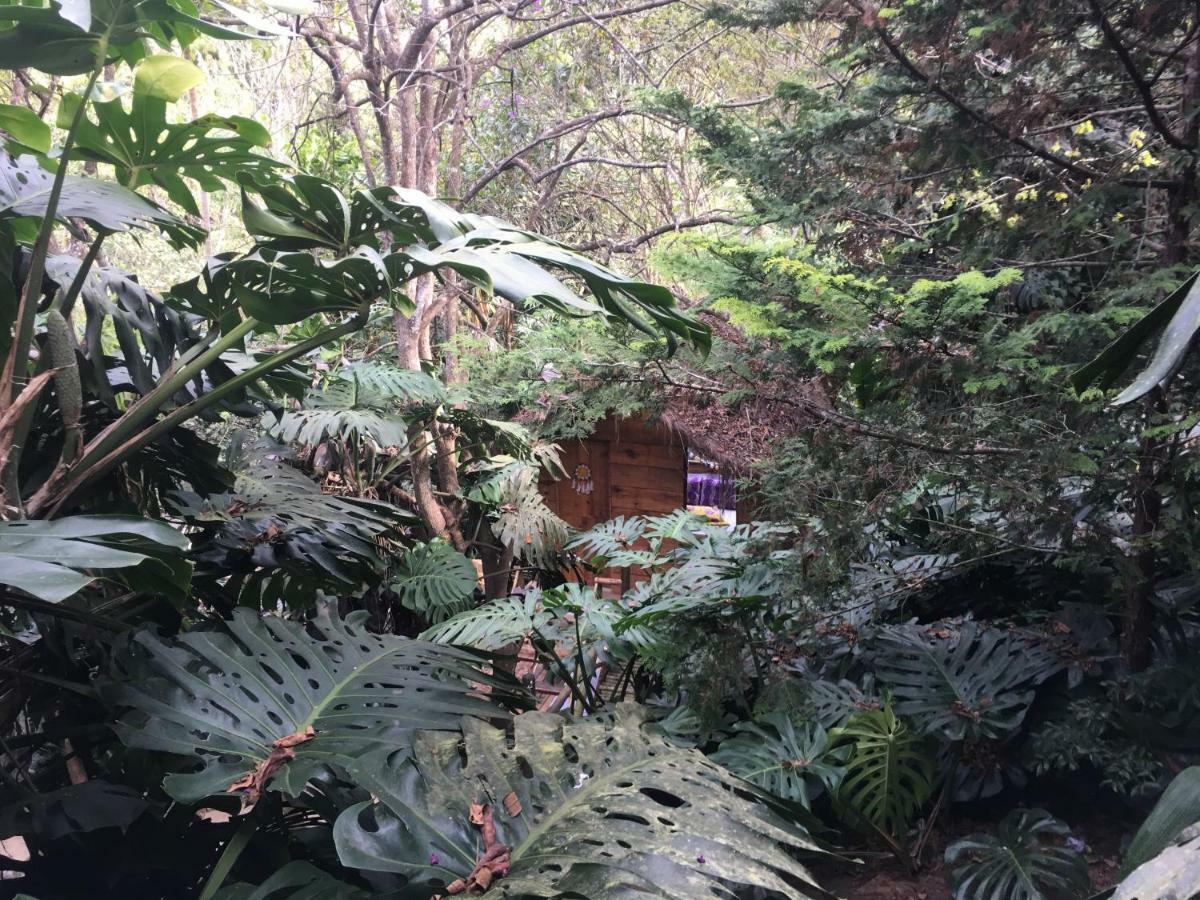 Pensión Casa Ranxoxita *